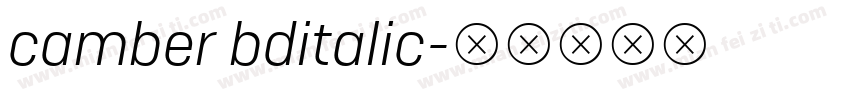 camber bditalic字体转换